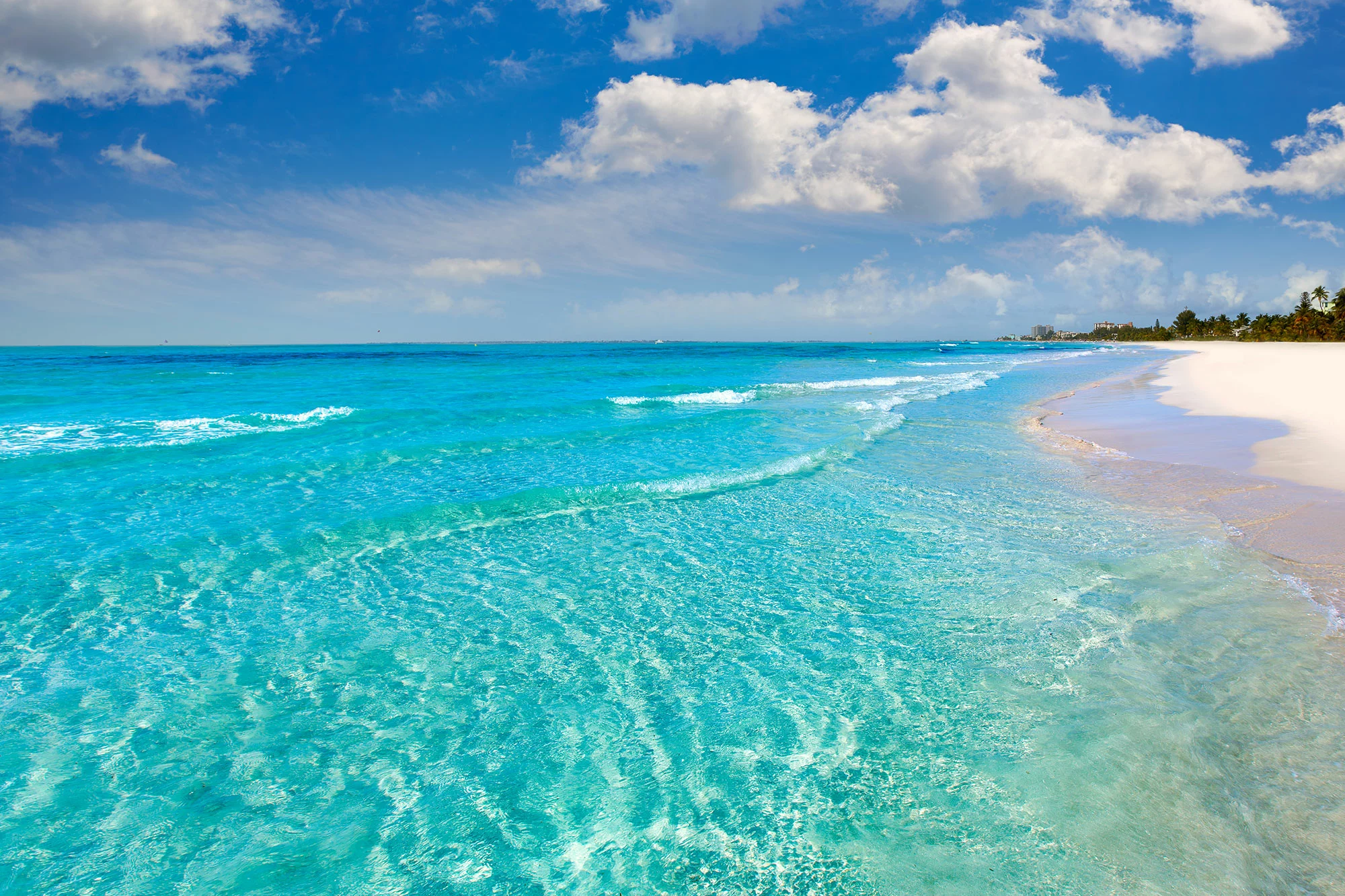 white sand beach in Florida